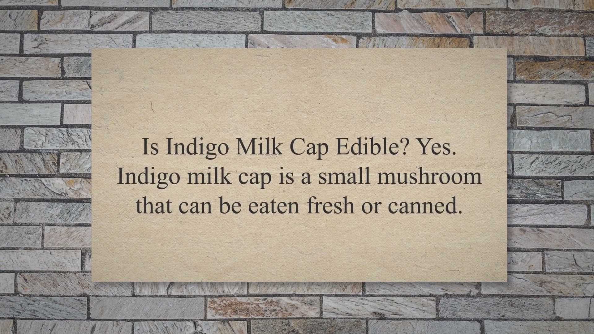 Video thumbnail for Is Indigo Milk Cap Edible ? ( Yes, They Are )