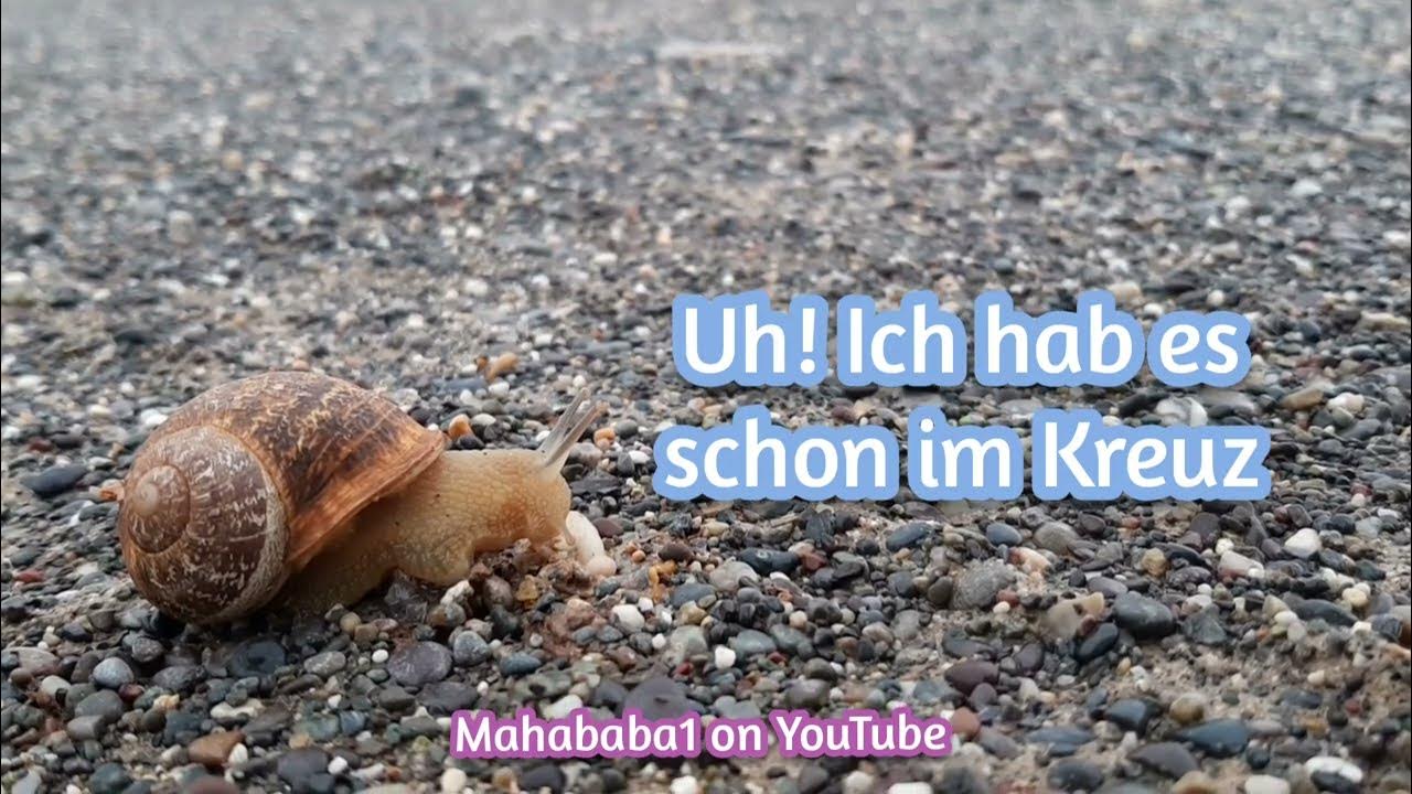 Video thumbnail for 😀 Ein kleines Gedicht für dich! Das kann ich nicht! Aber zum Genuss schick ich dir einen lieben Gruß