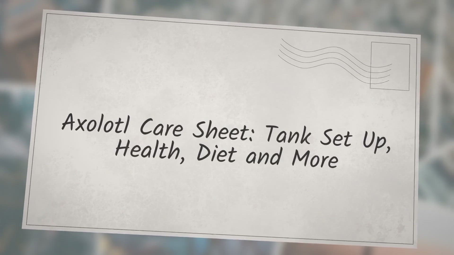 Video thumbnail for Axolotl Care Sheet: Tank Set Up, Health, Diet and More