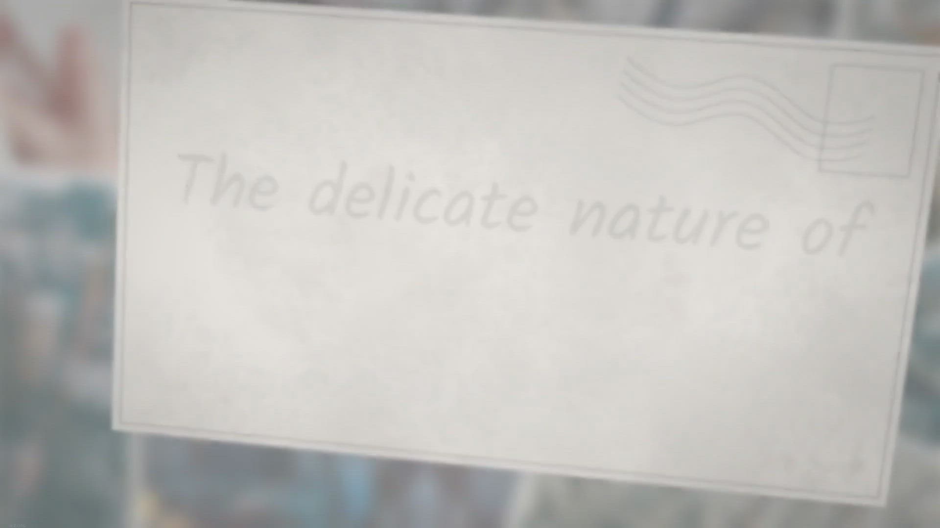 Video thumbnail for How To Preserve Mushrooms For Display And Decoration