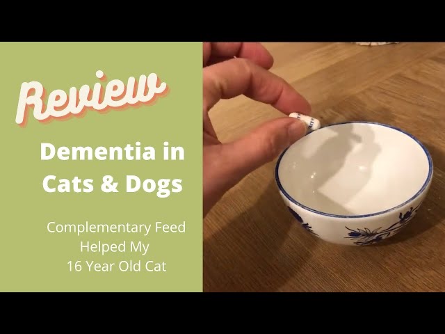 'Video thumbnail for Dementia in Cats & Dogs  - What Natural Feed Can Help Their Memory?'
