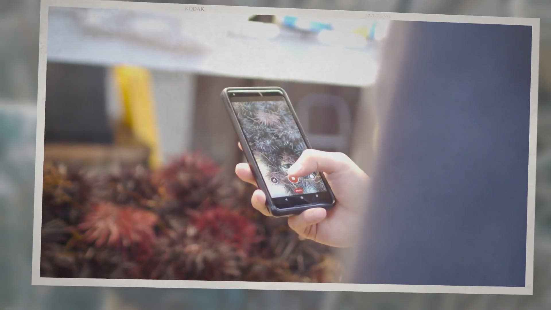 Video thumbnail for Android WiFi connected but no Internet