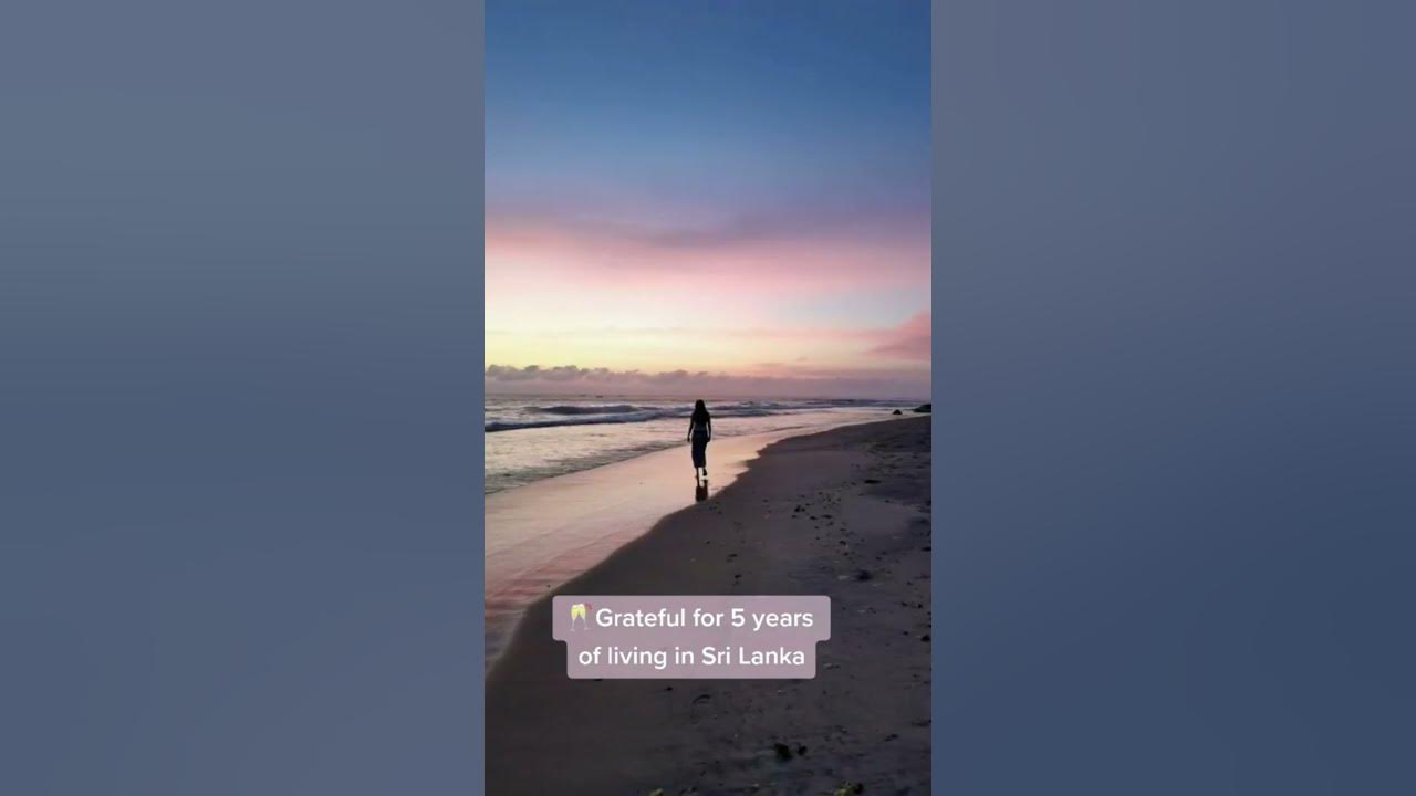 Video thumbnail for Celebrating 5 years in Sri Lanka | Arugam Bay Trip #shorts #srilanka