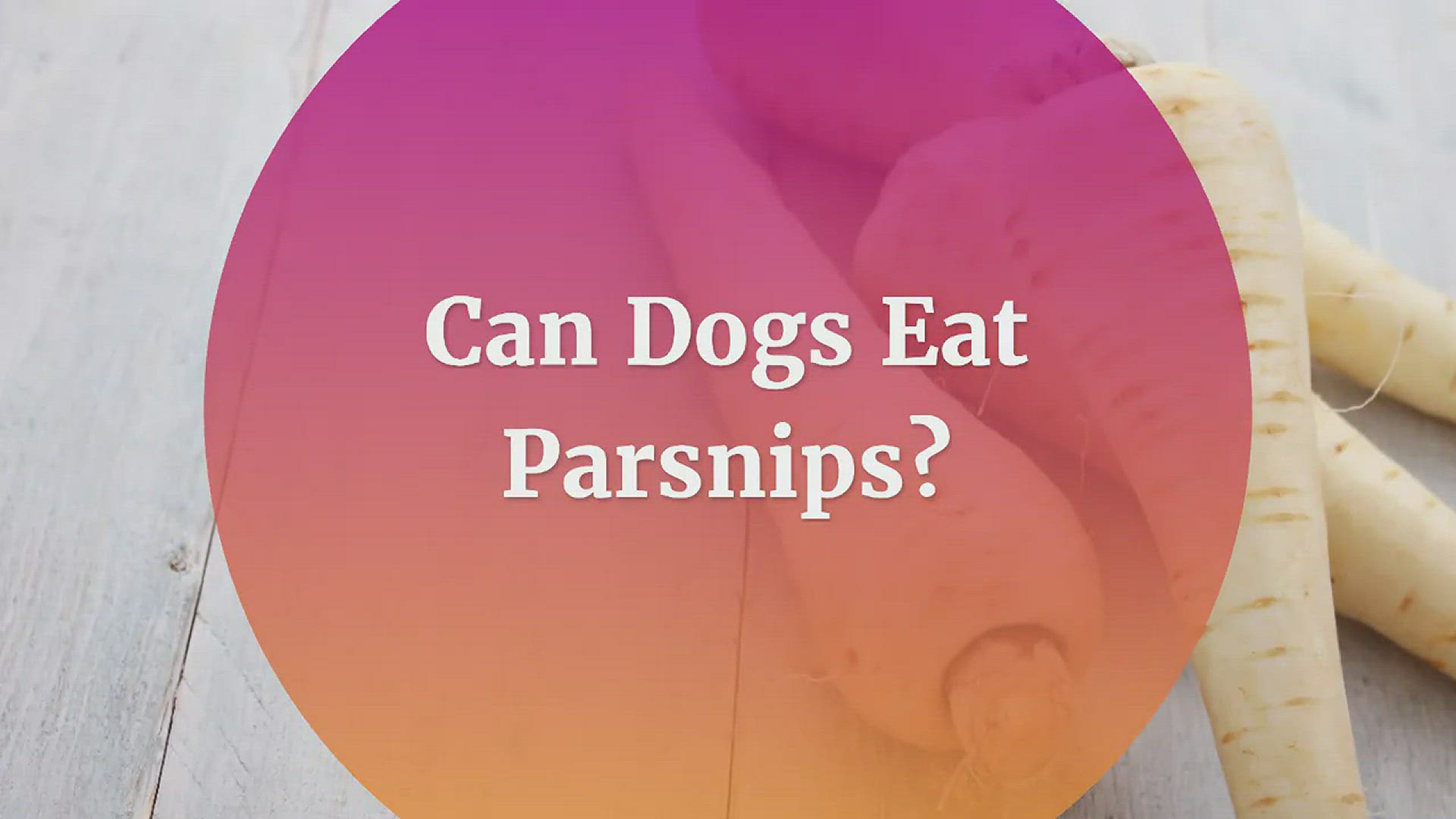 Video thumbnail for Can Dogs Eat Parsnips?