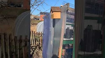 Video thumbnail for 🎥 ✅ “First Facebook Live Gardening Q&A | Tips, Updates & Community Chat 🌿📺💬”