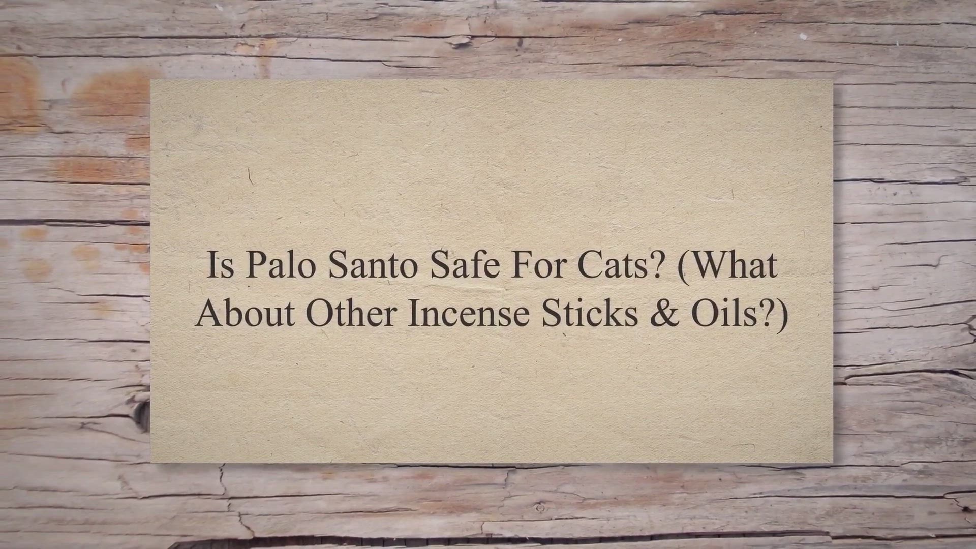 Video thumbnail for Is Palo Santo Safe For Cats? [What About Other Incense Sticks & Oils?]
