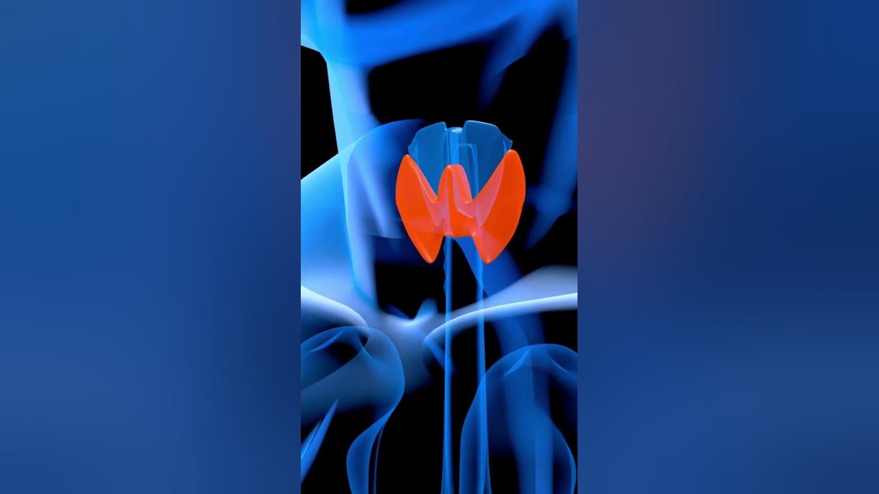 'Video thumbnail for The Truth About Hunger: What Your Thyroid is Trying to Tell You #shorts'
