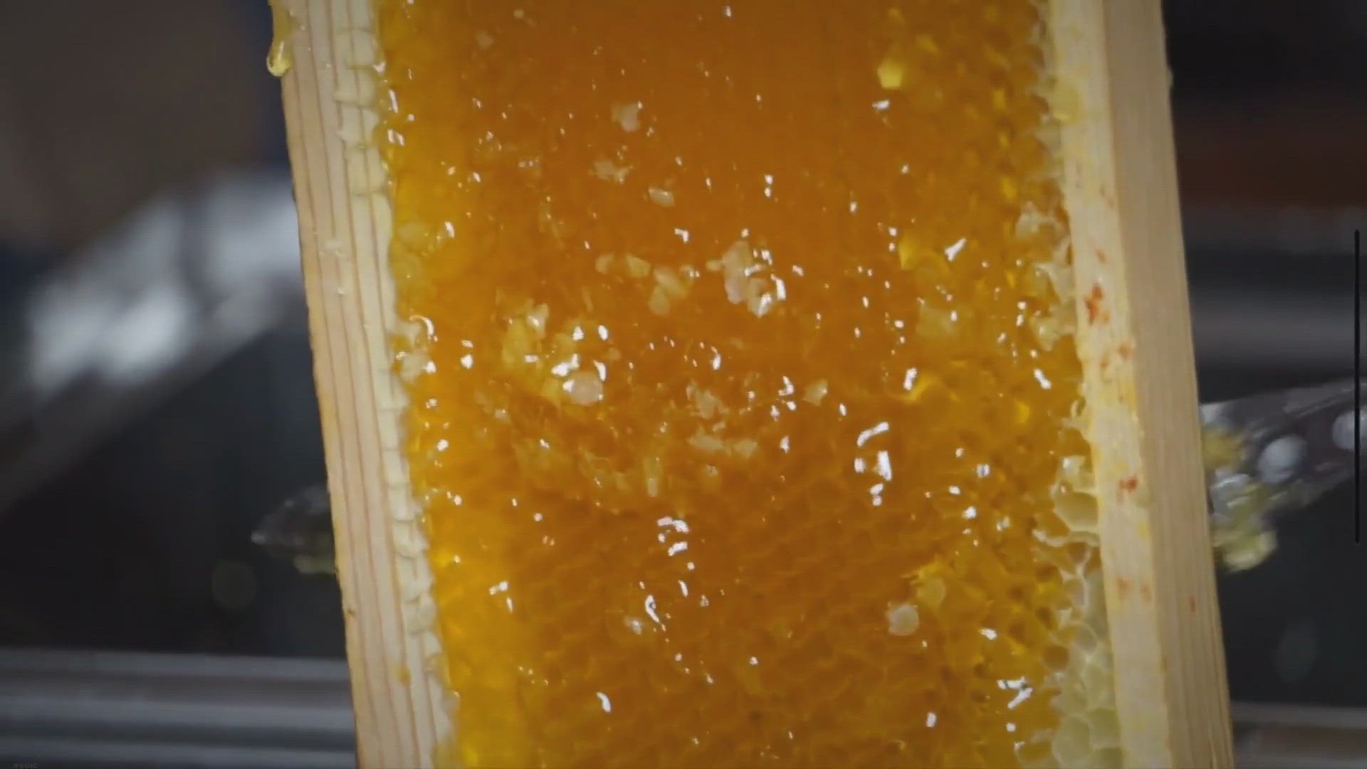 Video thumbnail for How Much Honey Per Frame?