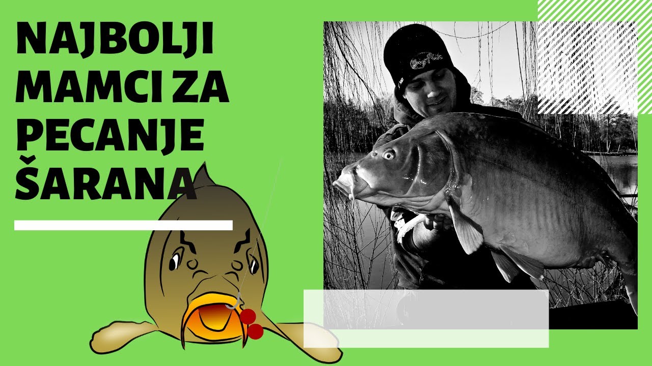 'Video thumbnail for Najbolji mamci za pecanje riba / šarana. Provjeri!'