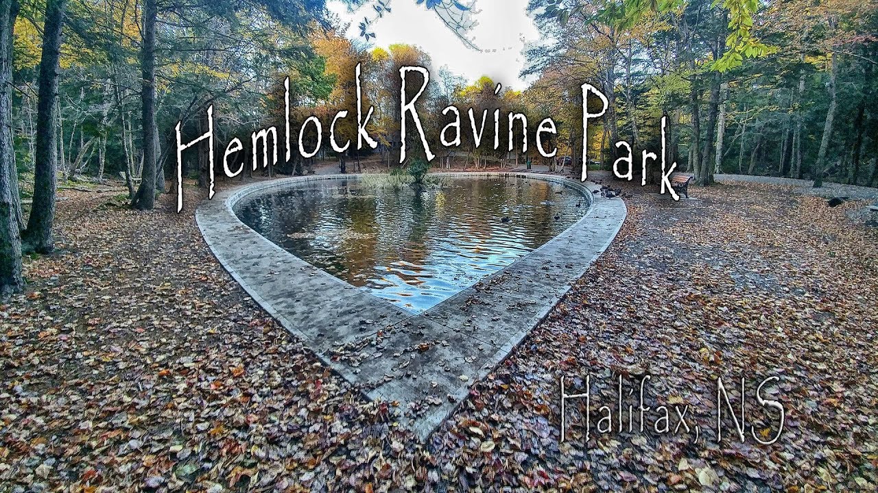 'Video thumbnail for Autumn in Hemlock Ravine Park - Halifax, Nova Scotia'
