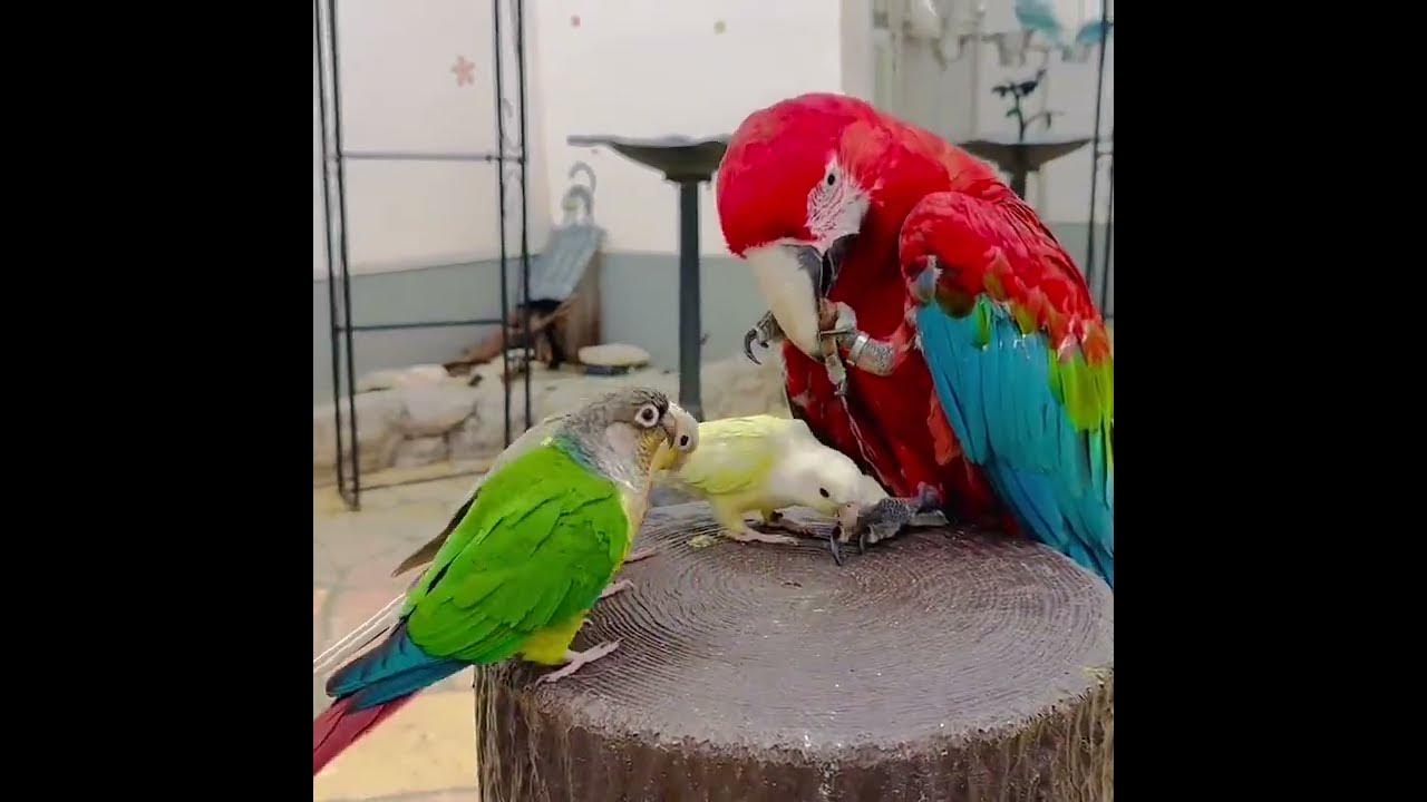 Video thumbnail for A delicious meal with friends