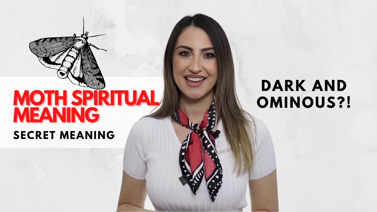 Video thumbnail for Moth - Spiritual Meaning and Symbolism