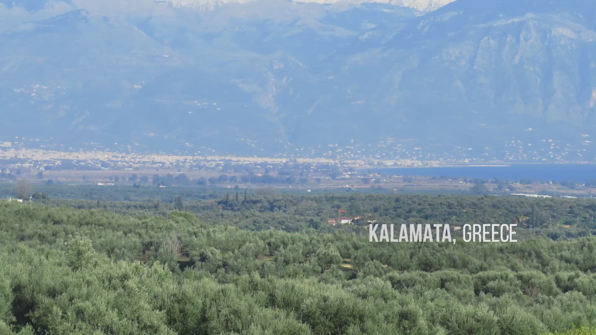'Video thumbnail for Oliviada Olive Tree Adoption in Greece'