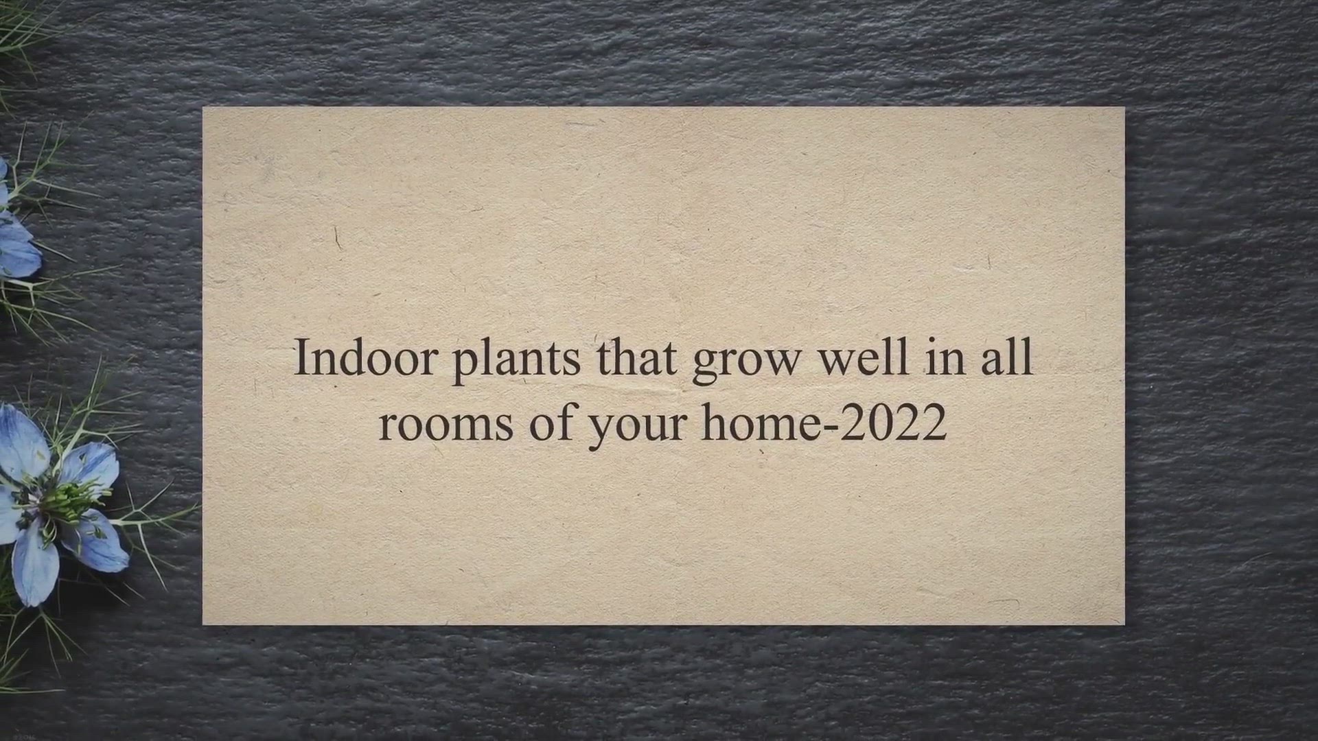 Video thumbnail for Indoor plants that grow well in all rooms of your home-2022 - Best Style Gallery, USA