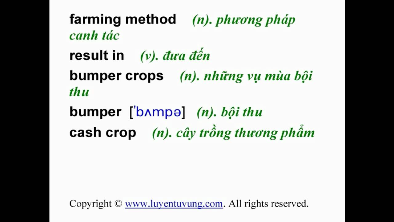 'Video thumbnail for Learn English Vocabulary - Grade 10 - Unit 08 - Lesson 01'