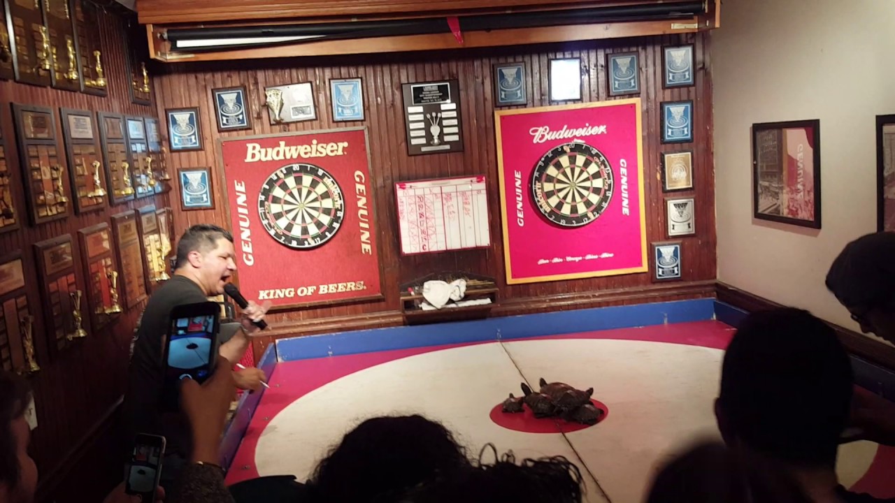 Video thumbnail for Turtle Racing at Big Joe's