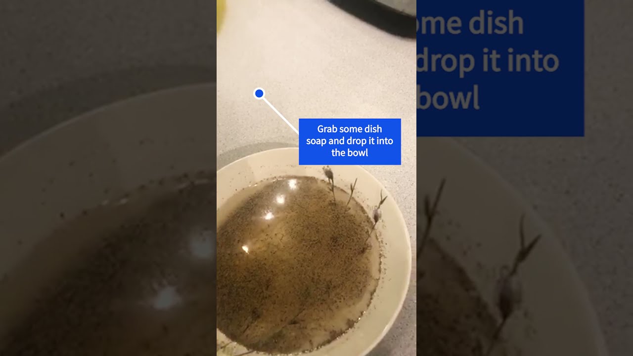 Video thumbnail for How to Teach Kids to Wash Their Hands With the Pepper Trick