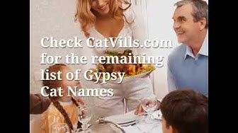 Video thumbnail for Gypsy Cat Names That We Love