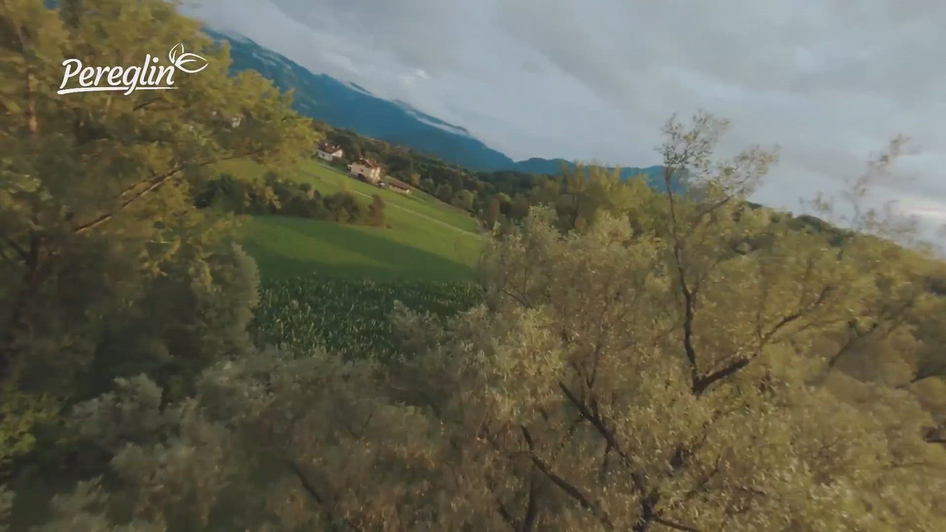 Video thumbnail for Kako posaditi povrće u vrt za najbolji prinos - radionica