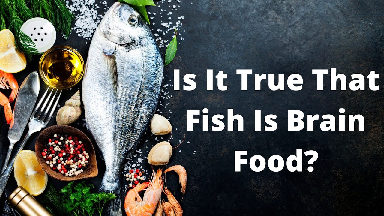 'Video thumbnail for Is It True That Fish Is Brain Food?'