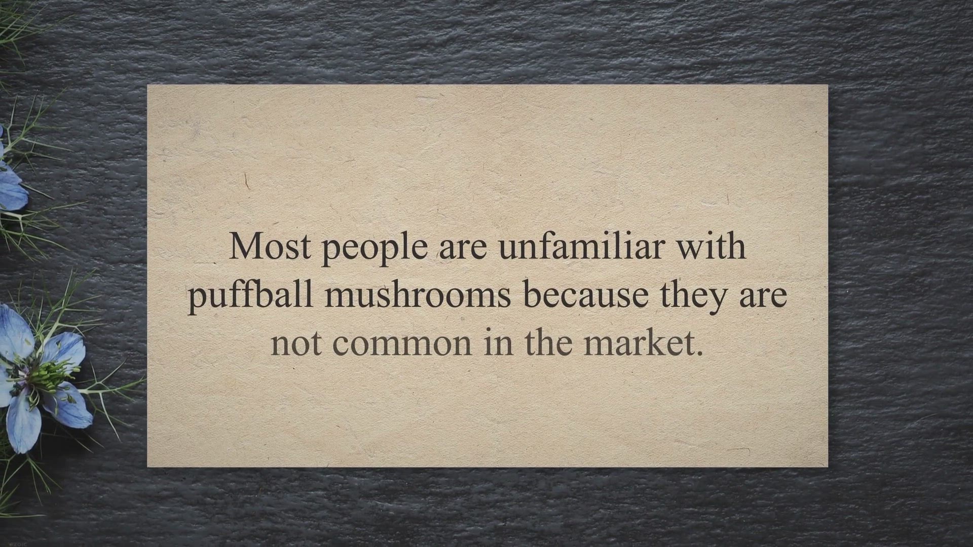 Video thumbnail for Are Puffball Mushrooms Dangerous? ( Answer Is Here! )