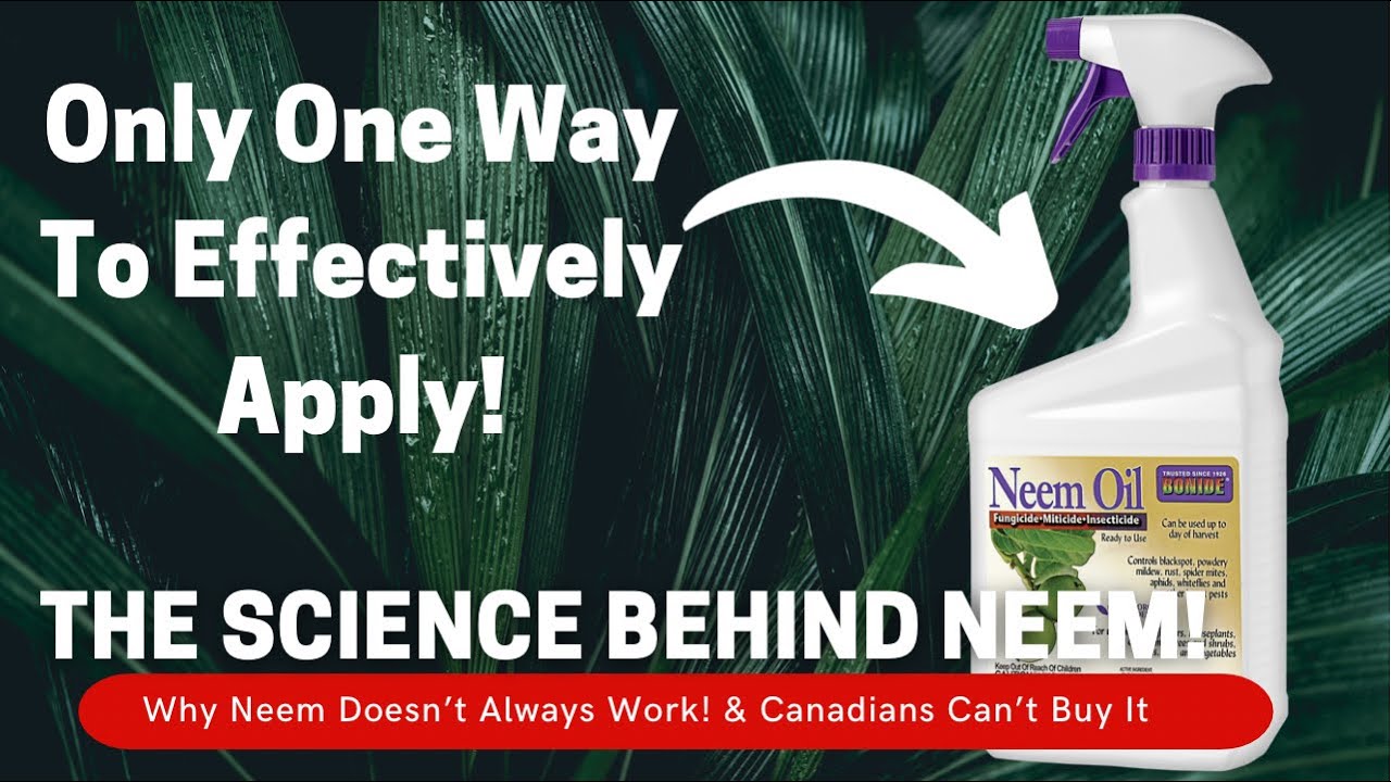 Video thumbnail for Why Neem Oil Doesn’t Always Work! The Science Of Neem Oil For Plants & Soil | Scientist Explains