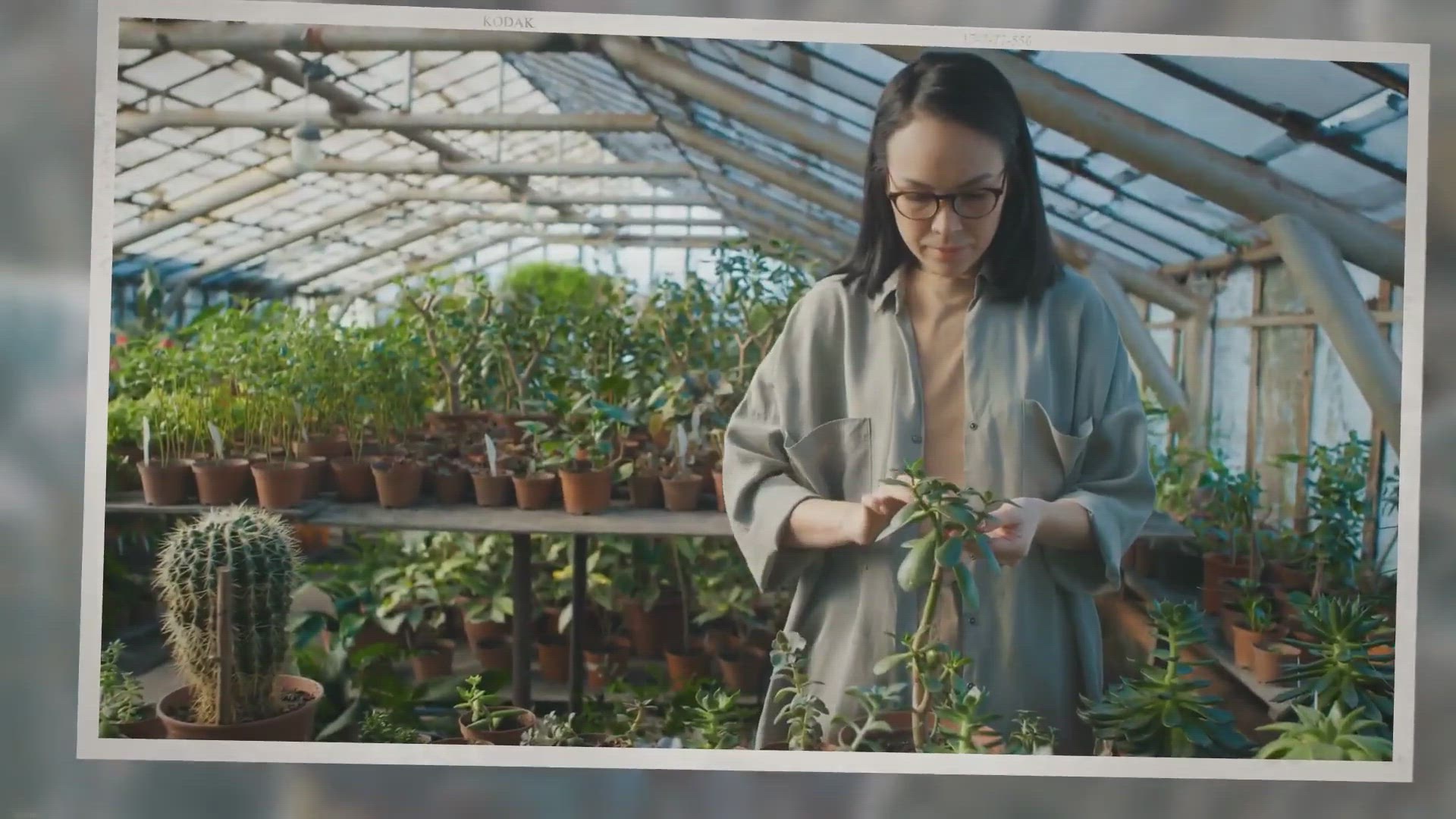 Video thumbnail for 5 Easy Methods To Propagate Succulents