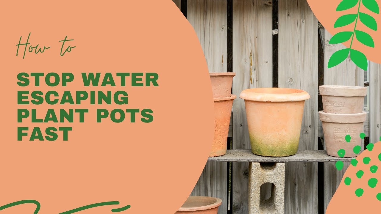 Video thumbnail for 🎥 ✅ Plant Pot Gardening Tips 🌿💧 | How to Stop Water Escaping from Pots Quickly & Keep Plants Healthy 🌱✨