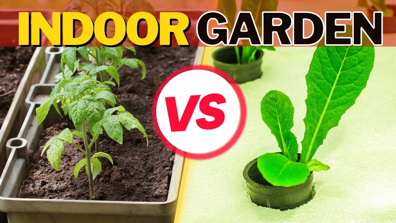 Video thumbnail for Should You Choose Soil Or Hydro For Indoor Gardening? Is Soil Or Hydro Growing Cheaper?