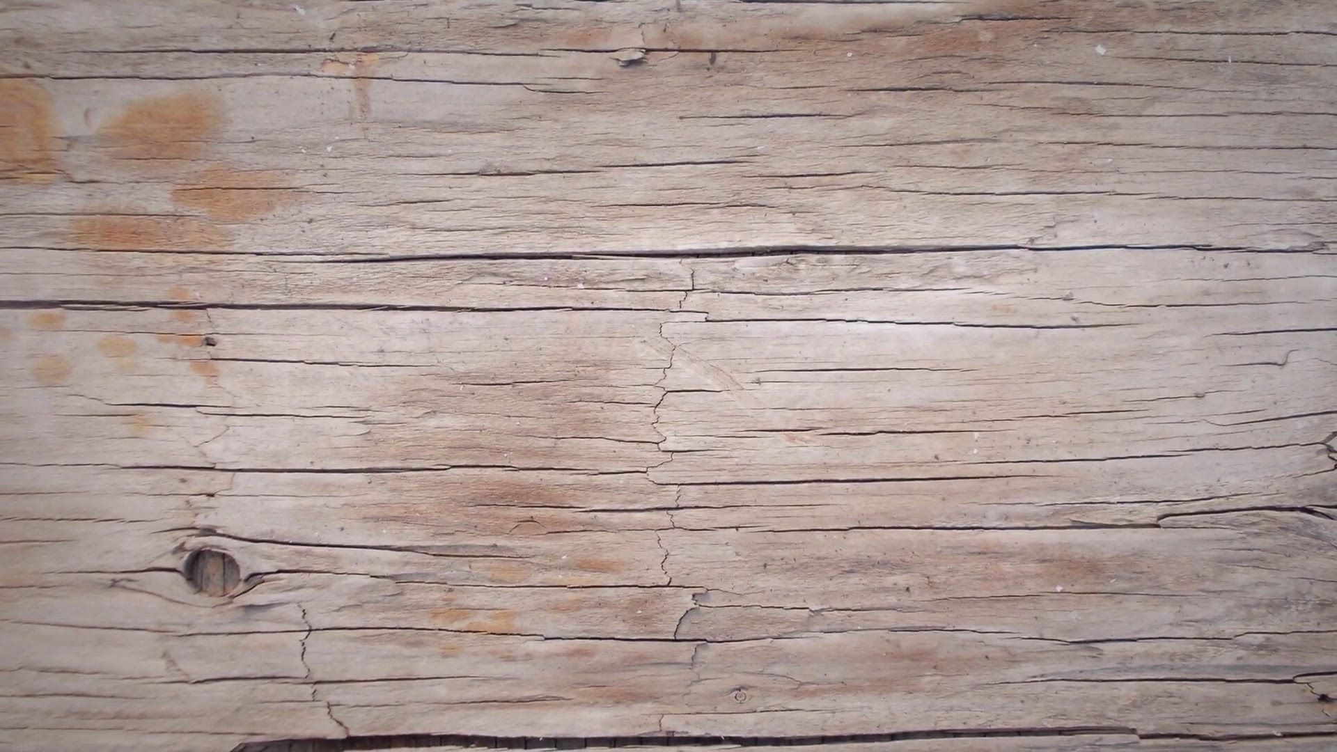 Video thumbnail for Homeschooling College