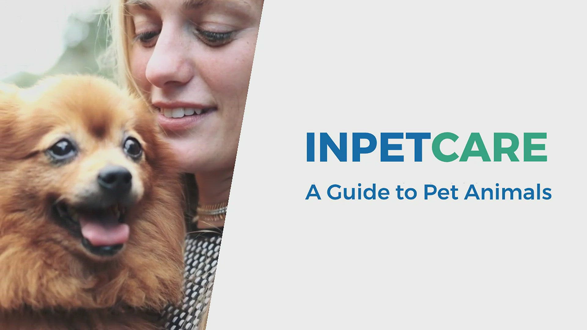 Video thumbnail for We Love We Care for Pets