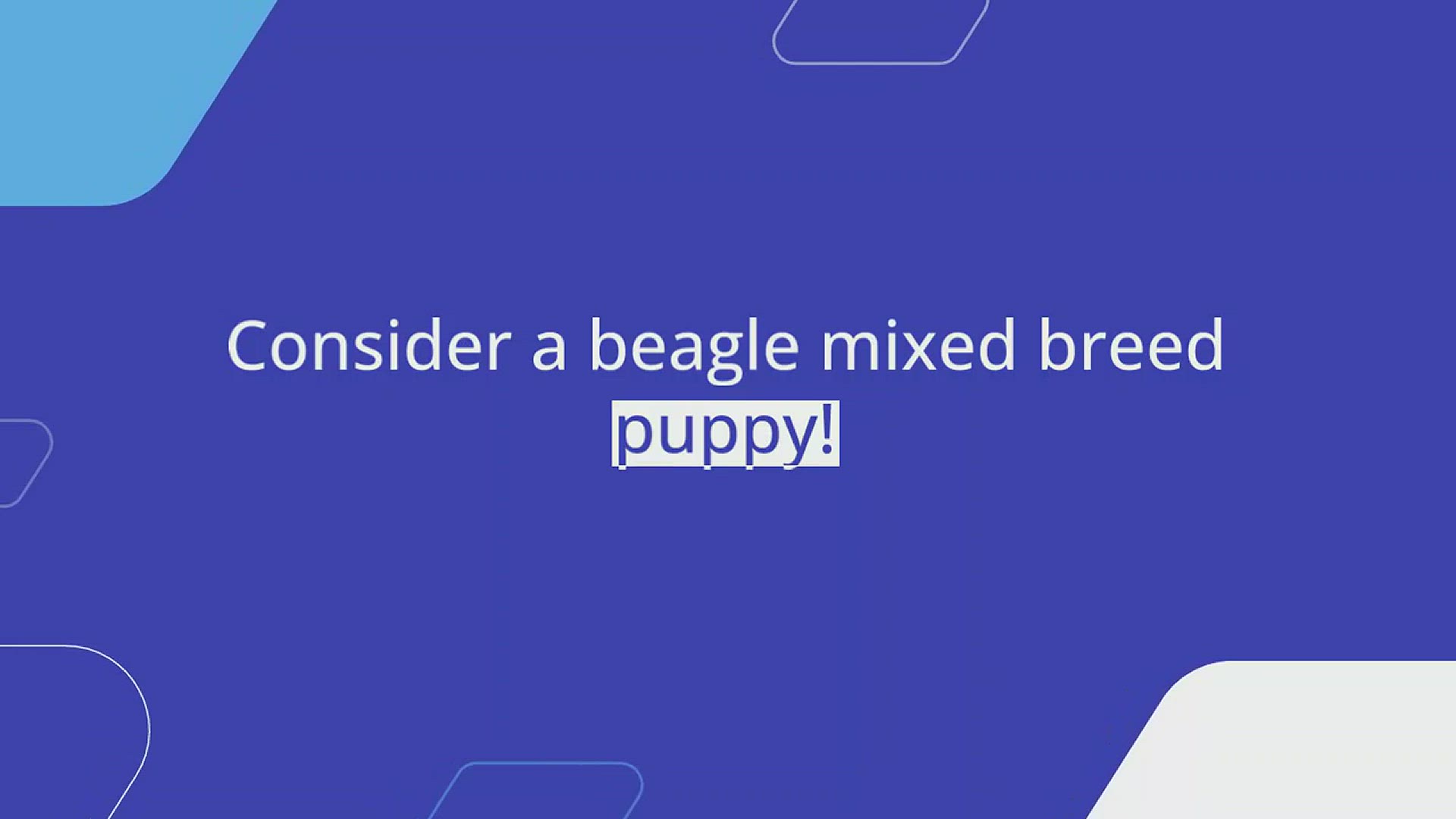 Video thumbnail for 10 Popular Beagle Mixed Breeds You Need to Know About