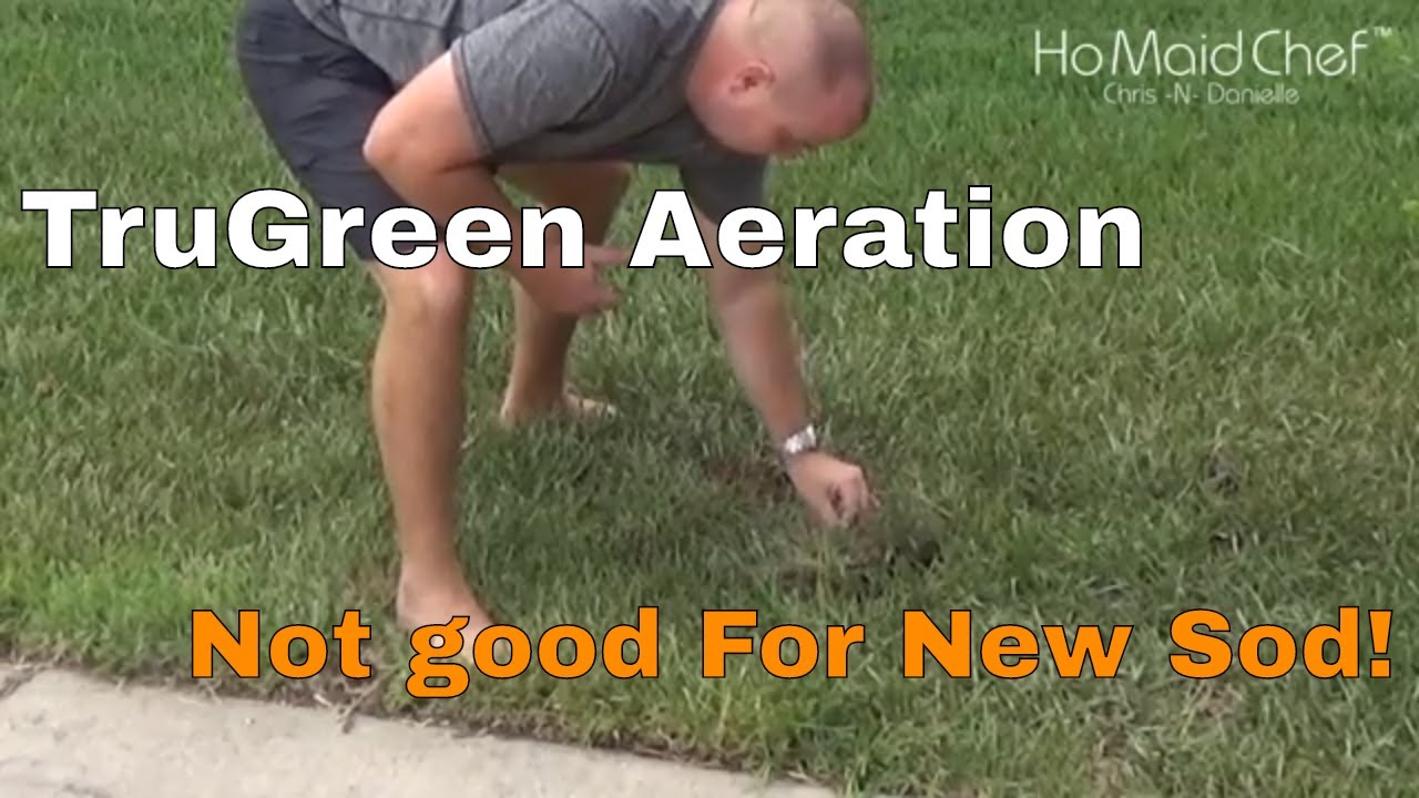 Video thumbnail for TruGreen Aeration Not Good For New Sod, Kinda Ripped It Up