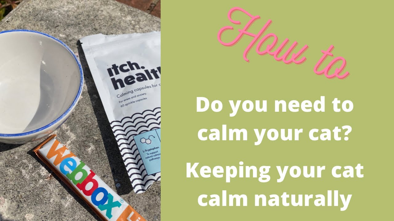 'Video thumbnail for Natural Calming Supplement for Cats. (VideoVet link in the Description Box)'