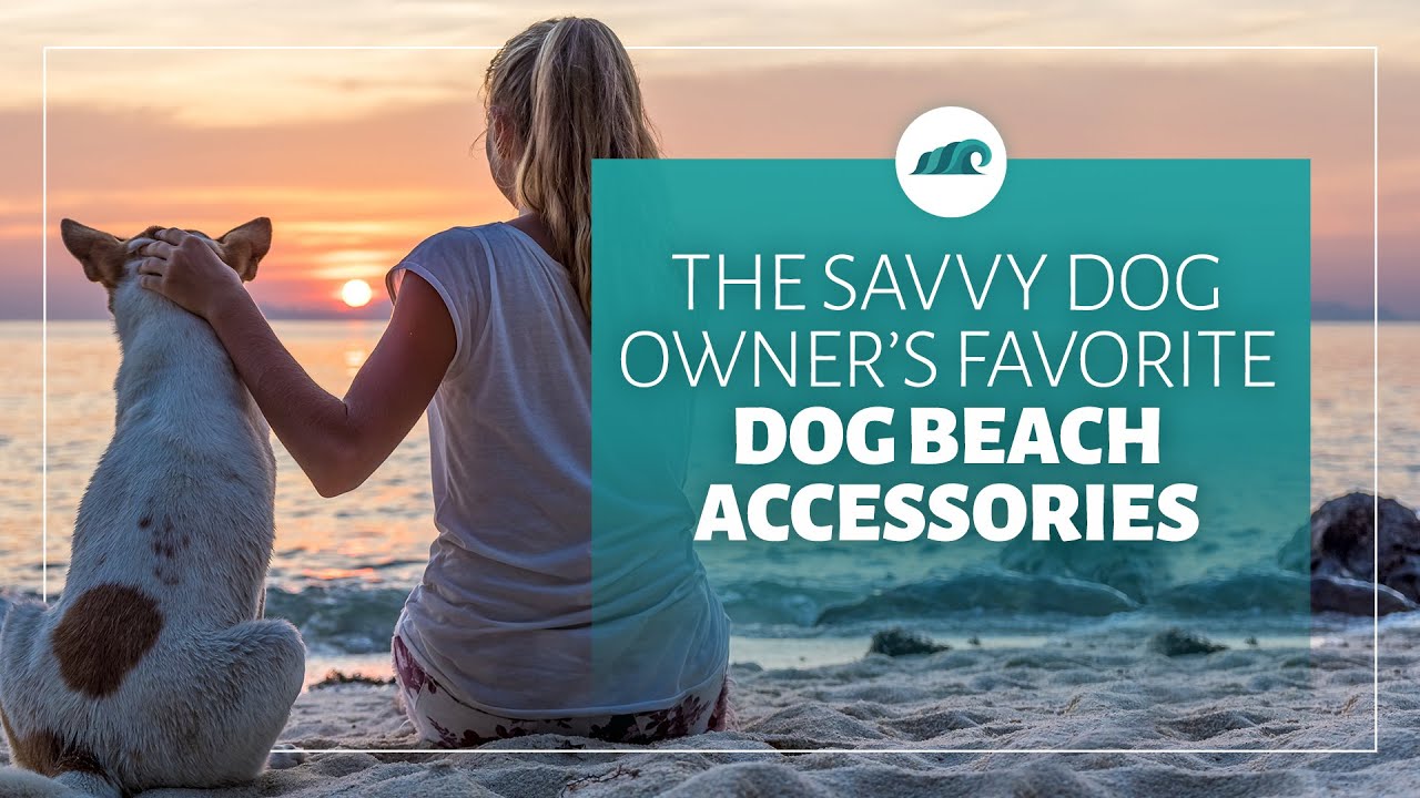 Video thumbnail for The Savvy Dog Owners Favorite Dog Beach Accessories