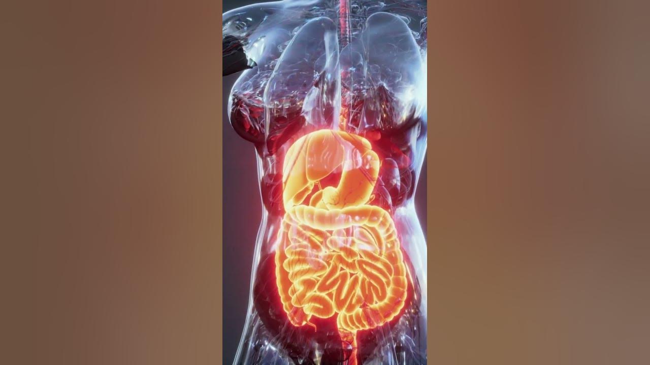'Video thumbnail for The Health Risks of an All Meat Diet #shorts'