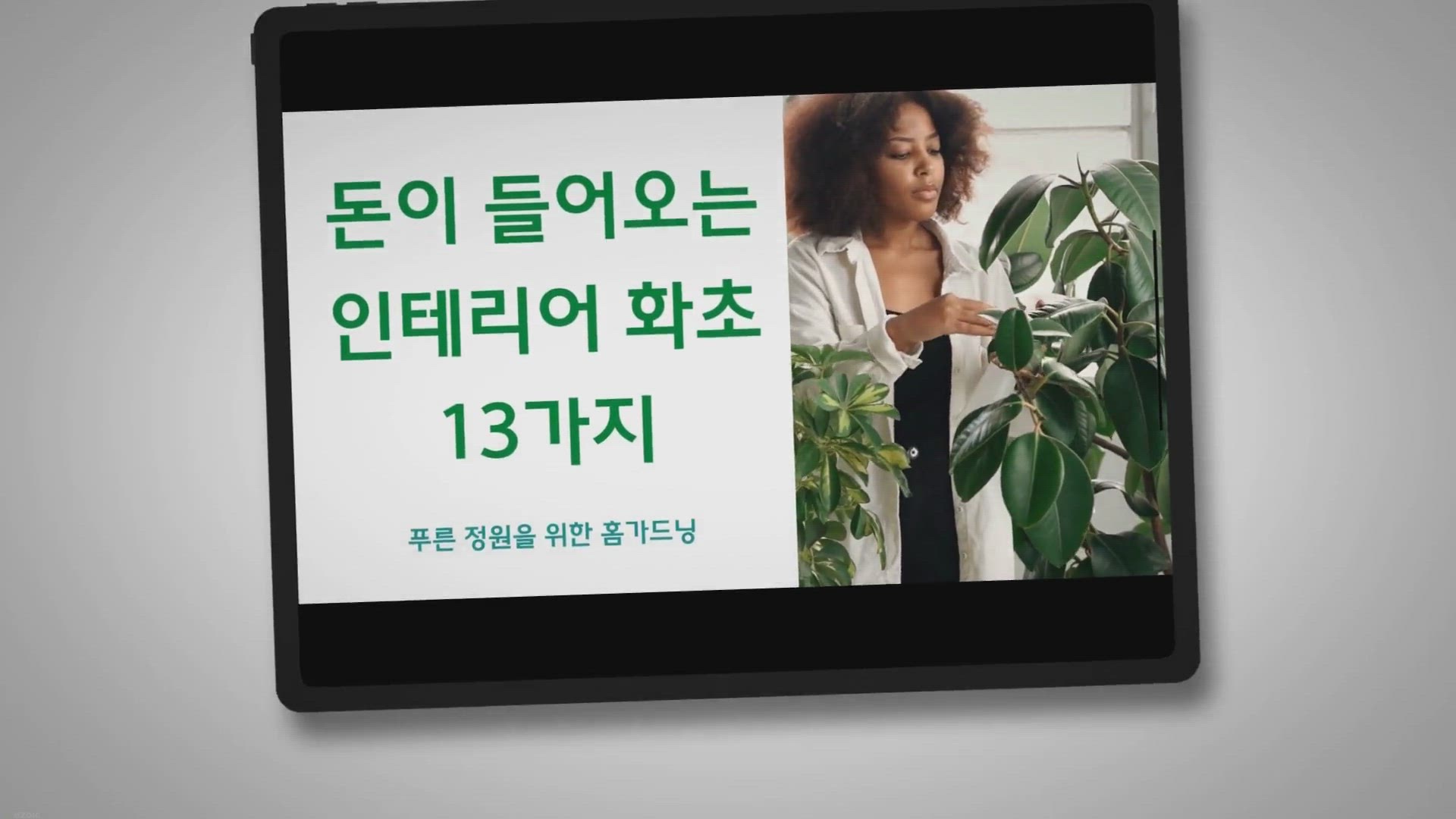 Video thumbnail for 돈이 들어오는 화초 13가지, 부자가 되려면 키우세요!