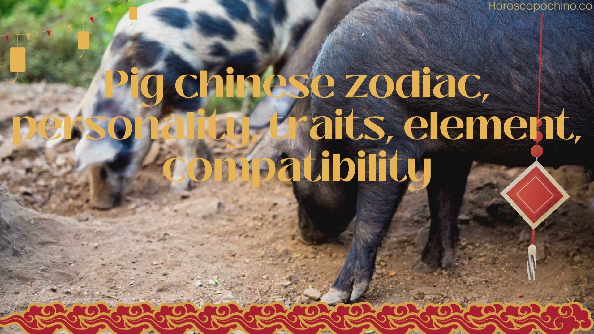 'Video thumbnail for Pig chinese zodiac, personality, traits, element, compatibility'