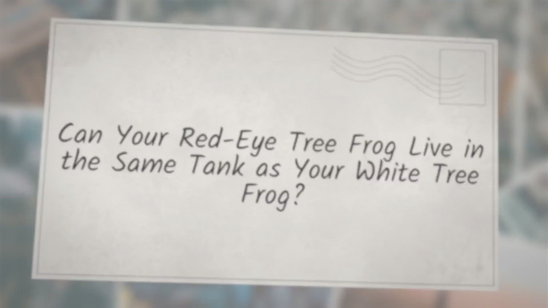 Video thumbnail for Can Your Red-Eye Tree Frog Live in the Same Tank as Your WhiteTree Frog?