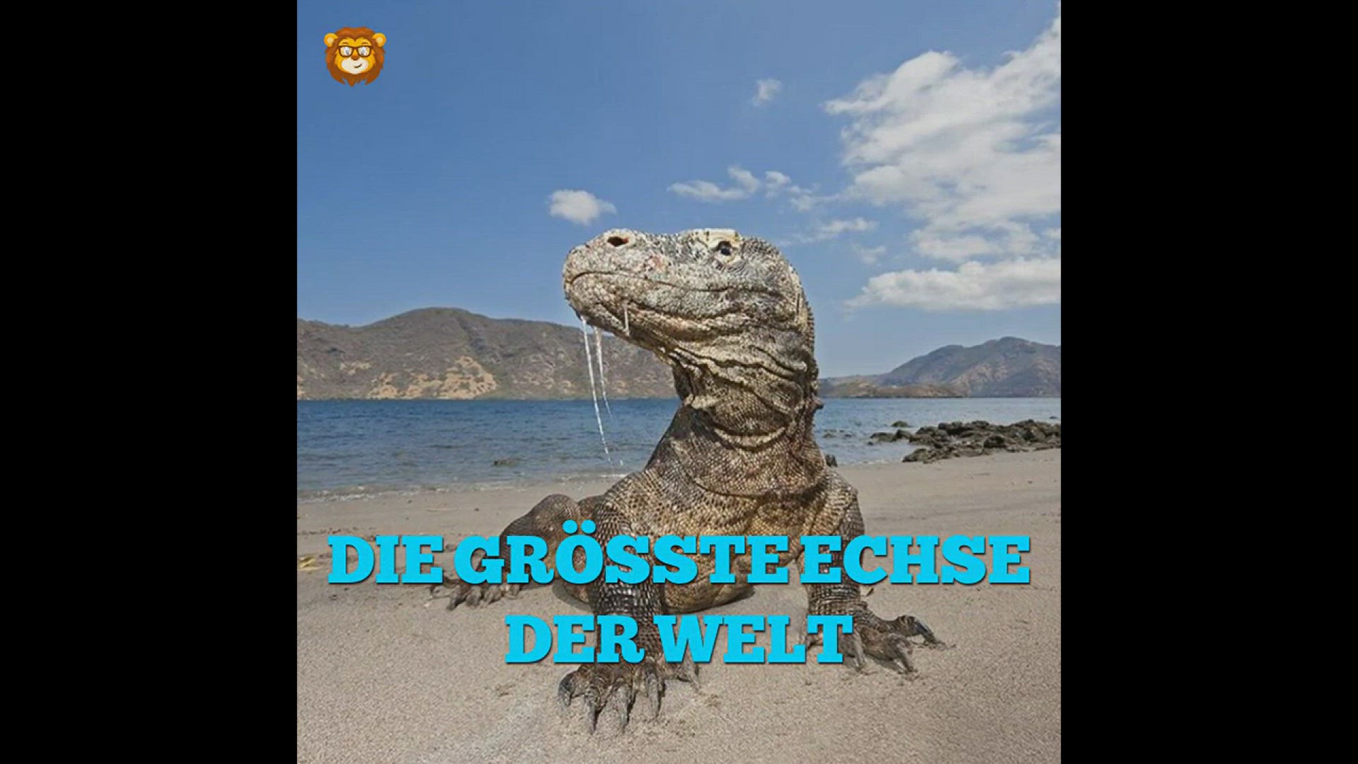 'Video thumbnail for Die 5 Größten Tiere Ihrer Art!'