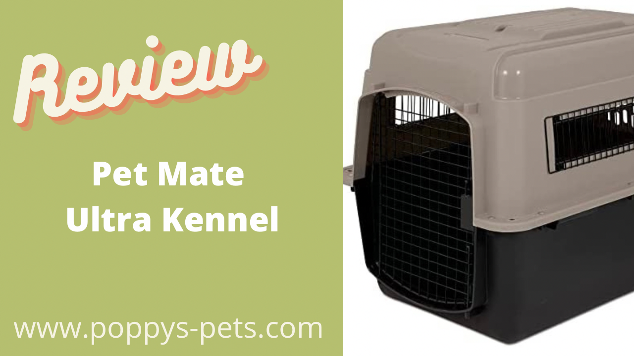 'Video thumbnail for Best Home & Camping & Travel Kennel for a Dog'