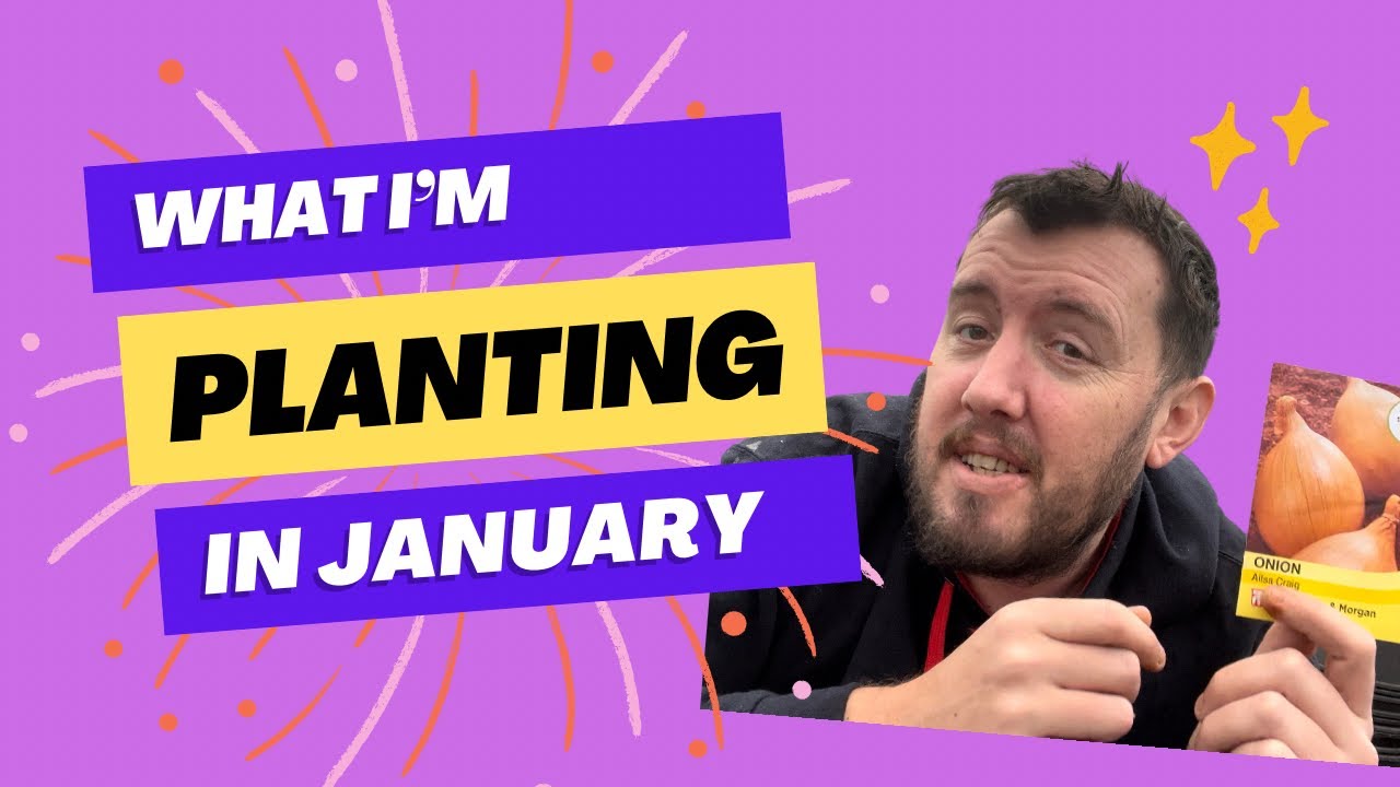 Video thumbnail for 🎥 ✅ What Seeds to Sow in January 🌱❄️ | Winter Planting Guide for UK Gardeners 🇬🇧🌿✨