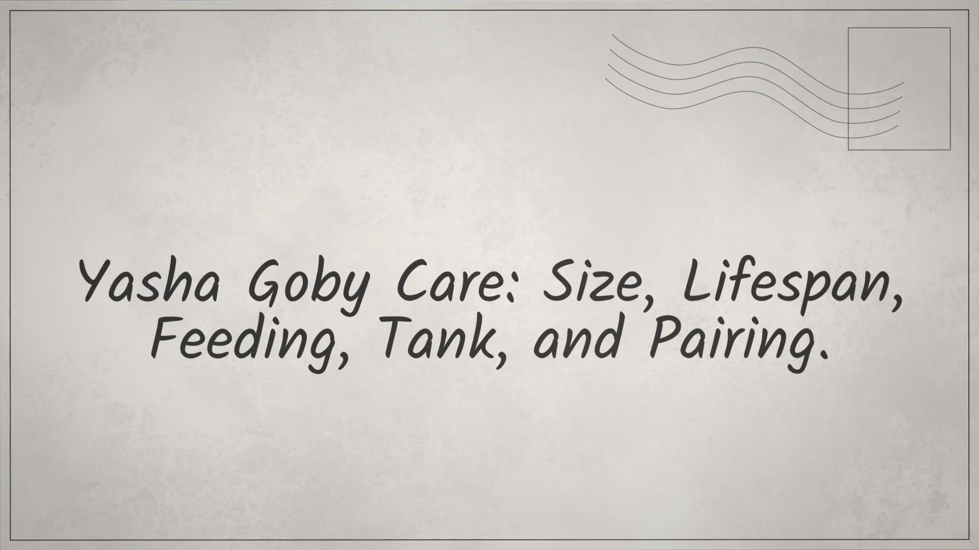 Video thumbnail for Yasha Goby Care: Size, Lifespan, Feeding, Tank, & Pairing