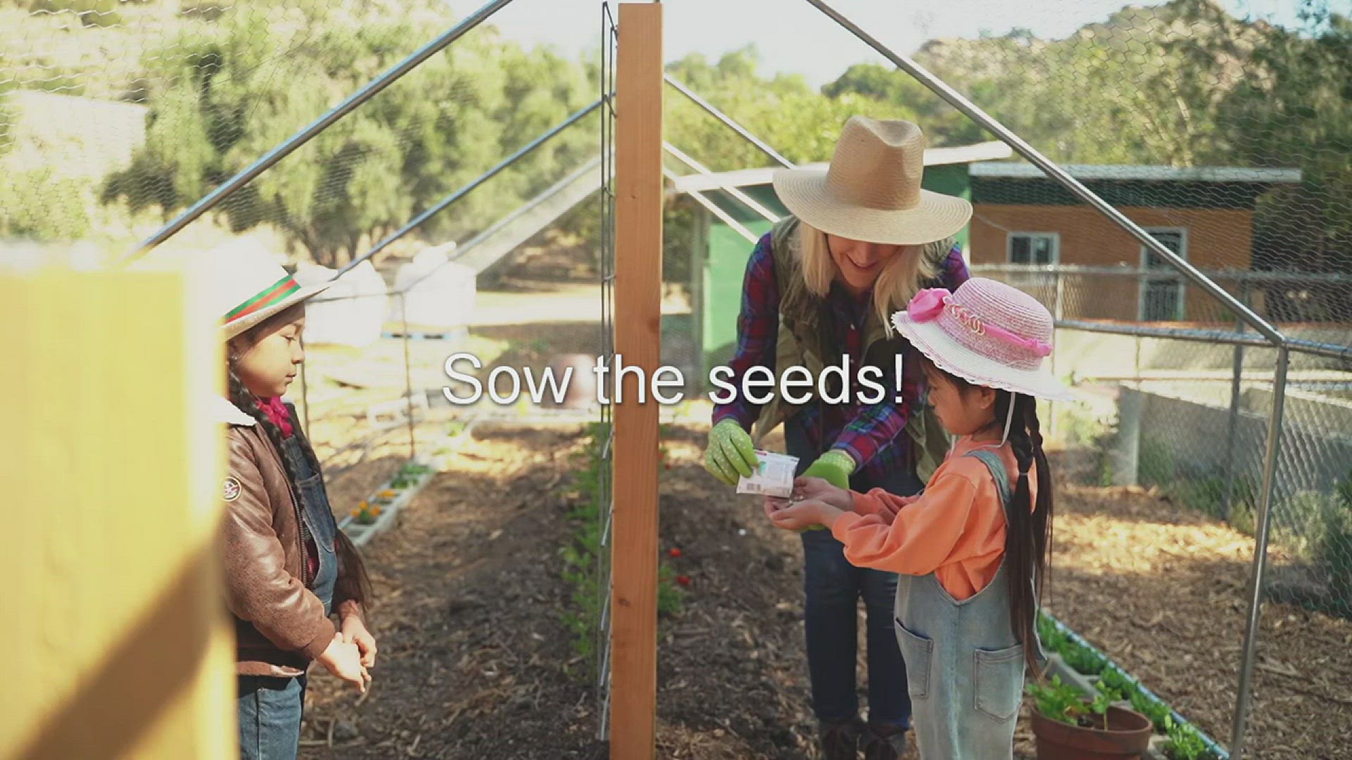 Video thumbnail for Sow the seeds!