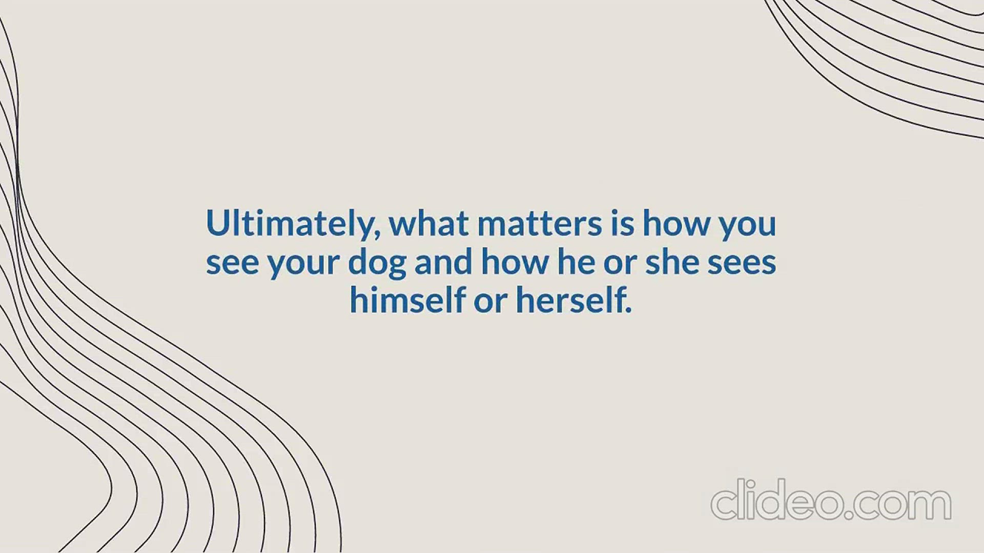 Video thumbnail for Is a Dog a Person Place or Thing