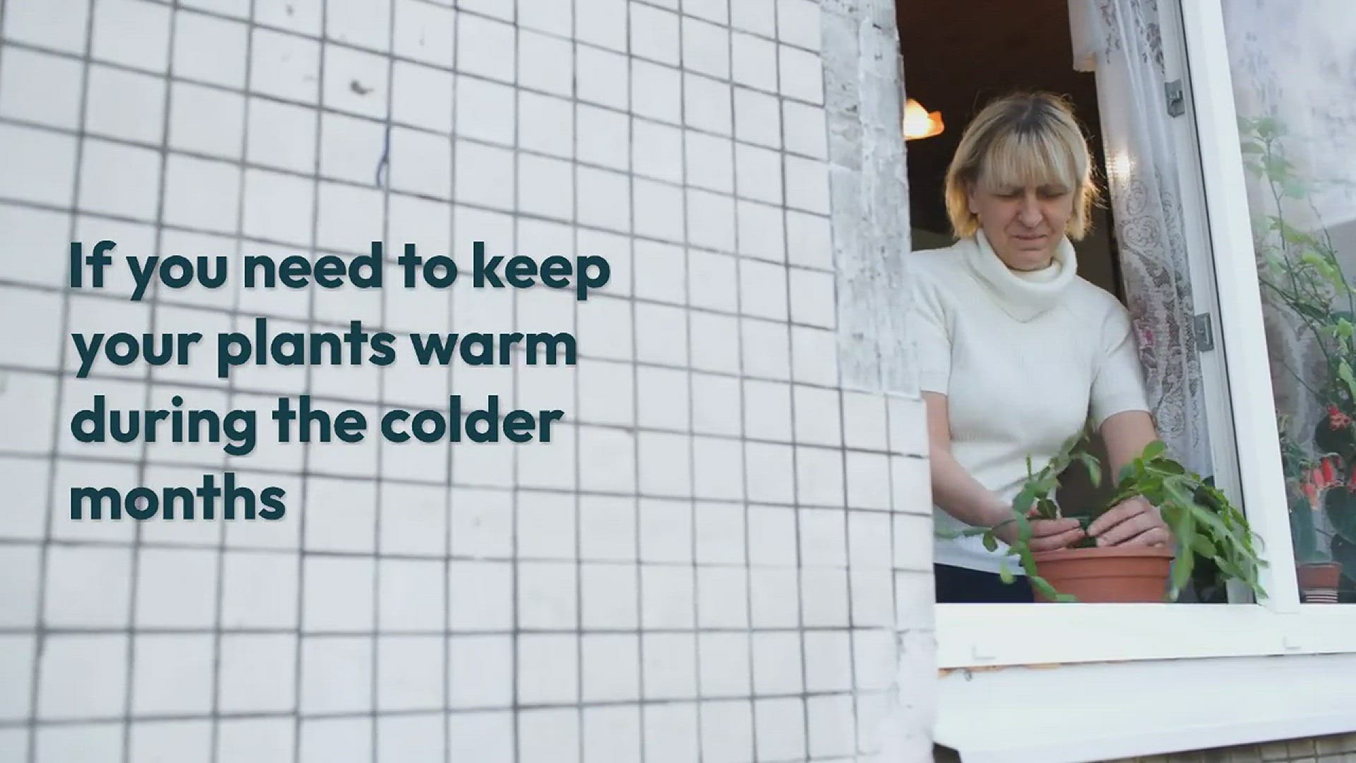 'Video thumbnail for Can You Put Plants on A Radiator?'