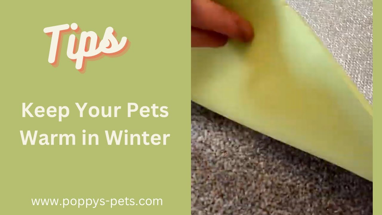 'Video thumbnail for Under £5: Cheap Way to Insulate Your Cat Dog Mat Bed House Indoors Outdoors or Camping'