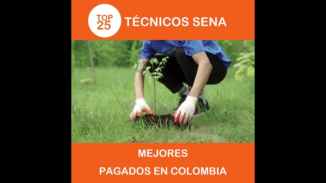 Video thumbnail for top 25 tecnicos sena mejores pagados en colombia