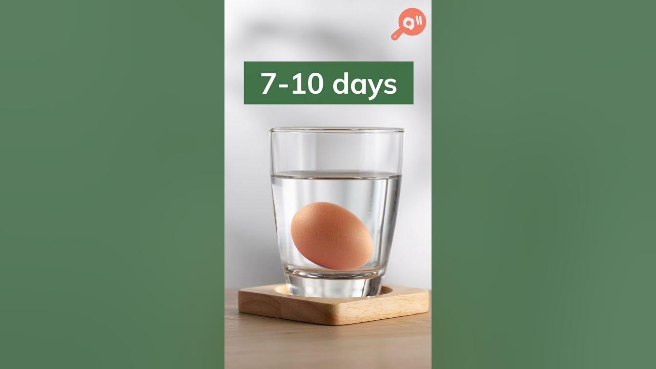 Video thumbnail for How to check the freshness of eggs?