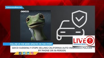 'Video thumbnail for GEICO suddenly stops selling California auto insurance policies by phone or in person'
